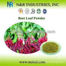 Reliable supplier Beet Root Powder